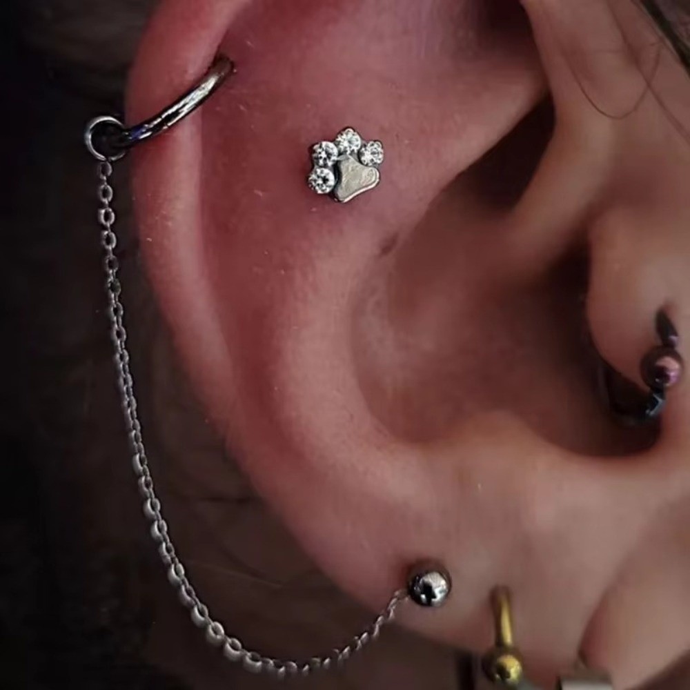 Titanium Nose Chain Three Laye – обзор и цена Body Jewelry And Piercing